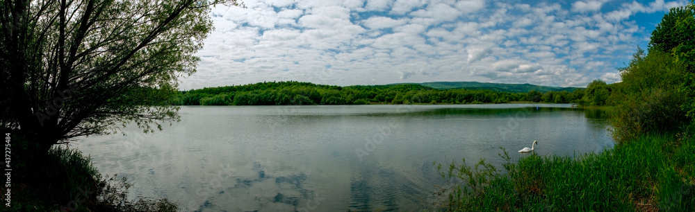 Panoramic landscape from the shore of the lake with colorful clouds. Summer, swan swims. Panoramic landscape from the shore of the lake with colorful clouds. Summer, swan swims.