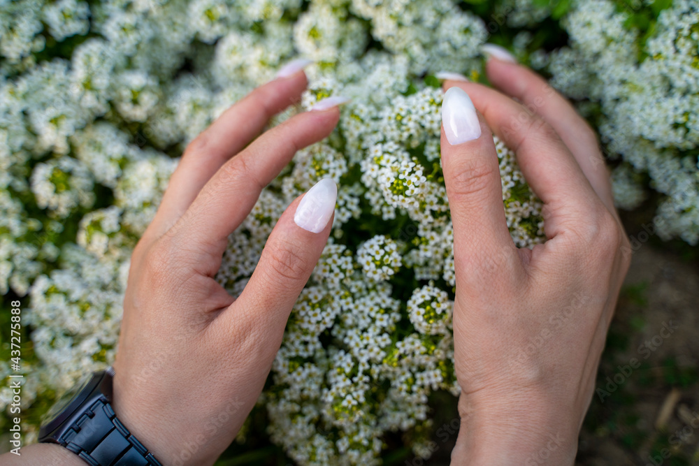 female hands embrace flowers protecting them

