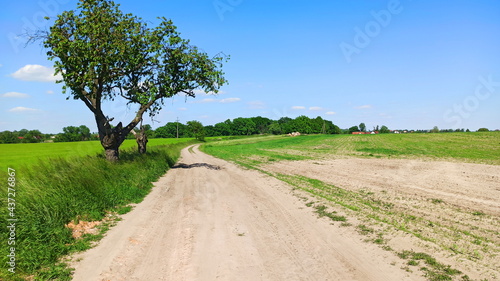 Dirt road surrounded by green fields. Landscape in Lower Silesia area. Beautiful spring in Poland.