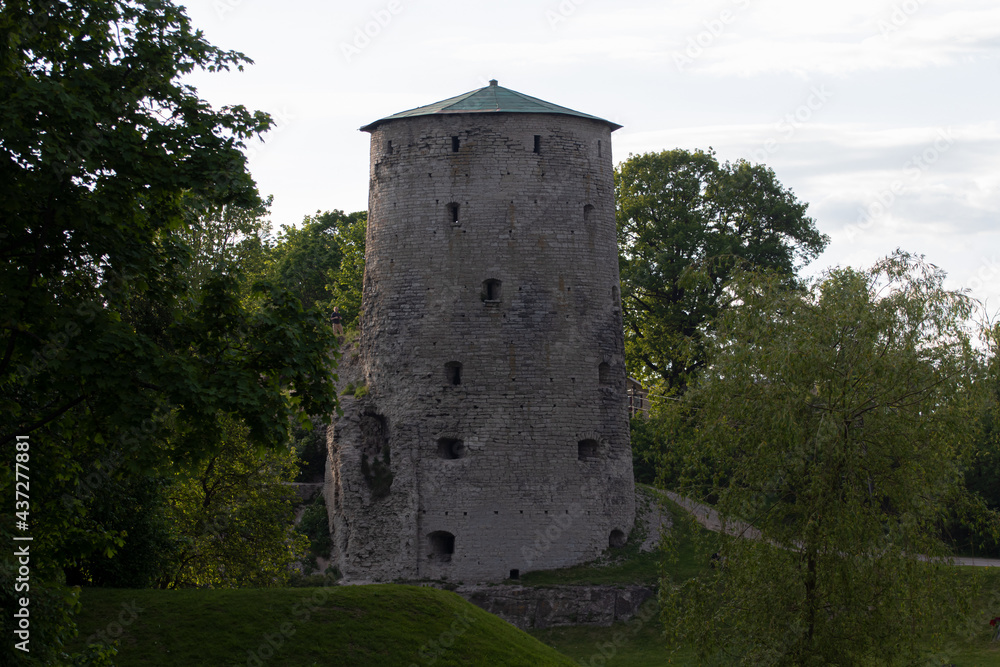 Tower at the park 