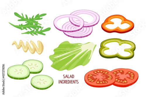 Salad Ingredients. Vegetables for healthy food. Vegetarianism, vitamins, healthy nutrition, diet. Vector set of Vegetables, herbs, sauce. For menu, cafe, restaurant, poster, banner, emblem, sticker