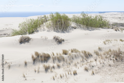  Sandy beaches of the Curonian Spit