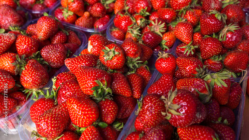 Ripe strawberries for sale in plastic boxes
