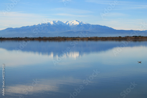 The Canet en Roussillon lagoon, a protected wetland in the south of Perpignan, France 