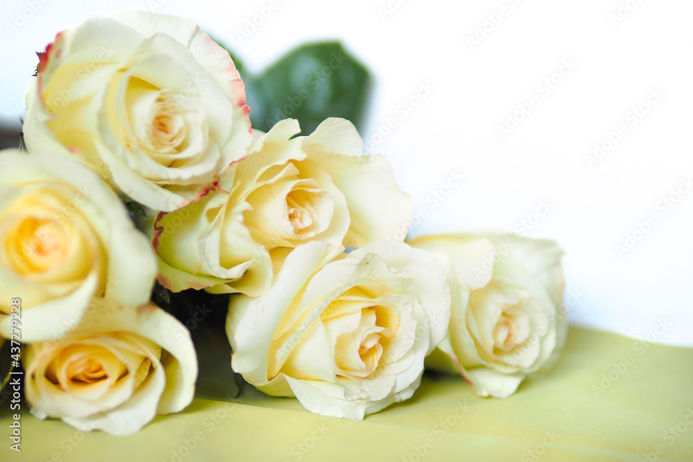 Obraz premium Beautiful bouquet of light yellow roses. copy space.