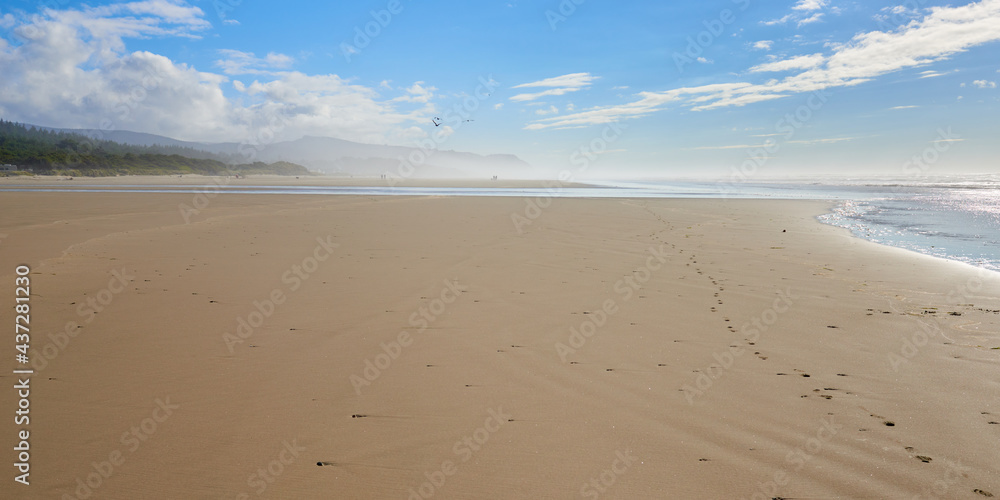 Misty view of the sand beach on the ocean near Newport, Oregon.