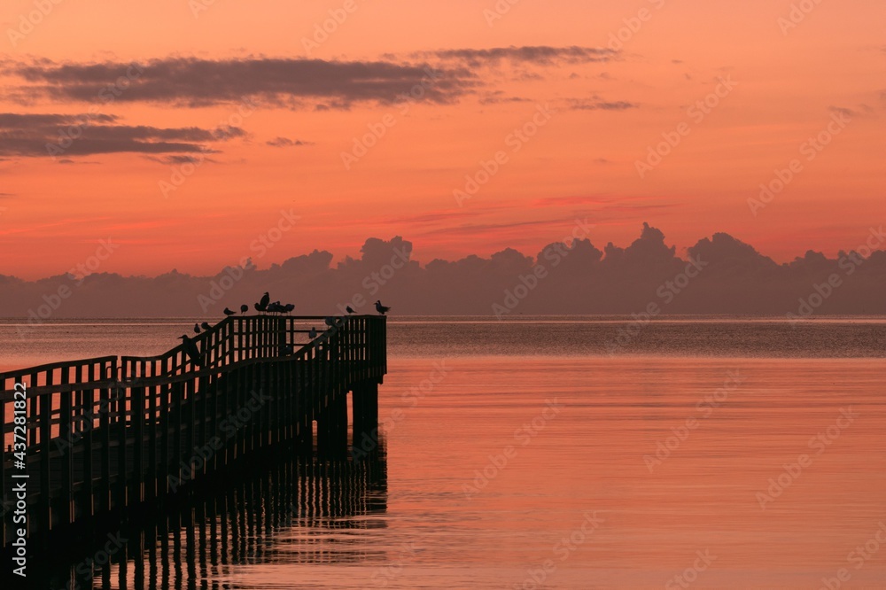 Silhouette of a romantic pier with gulls at dawn.