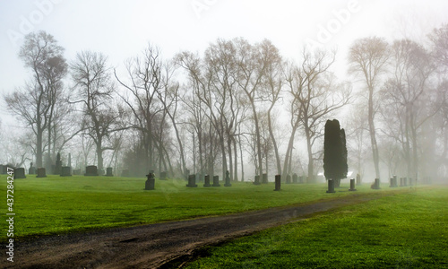 a walk in the cemetery in fog 