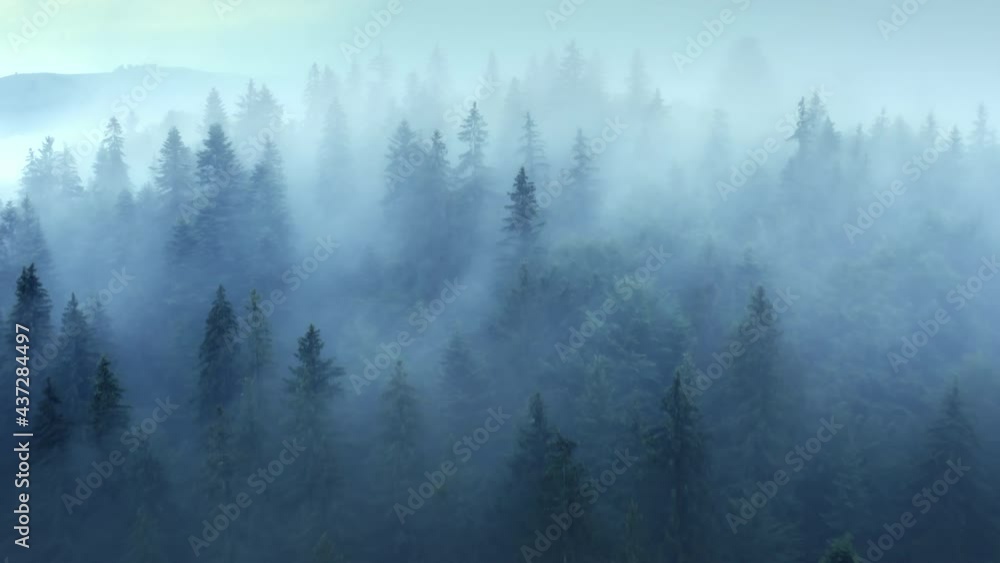 Flying through the clouds above mountain tops. Misty mountain forest covered by the dense fog. Flying through the clouds above mountain tops. Misty mountain forest covered by the dense fog.