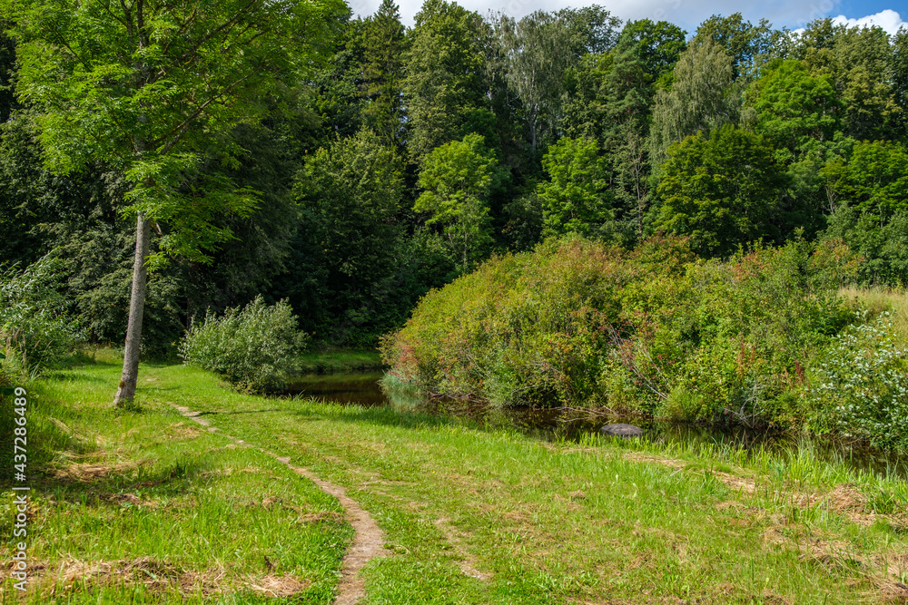 countryside forest river in summer with high grass and foliage