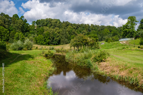 countryside forest river in summer with high grass and foliage