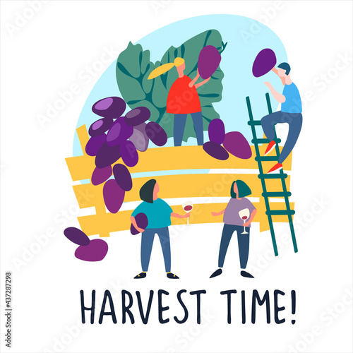 People picking grapes. Harvest Time quote. Harvesting concept. Agritourism, pick-your-own concept. Fresh fruit concept. Hand drawn vector illustration in abstract flat style