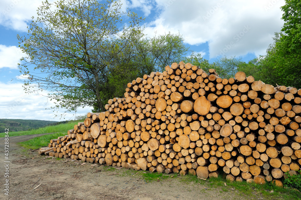 Lagerung von Rohholz aus gestapelten Baumstämmen am Wegrand - Stockfoto	