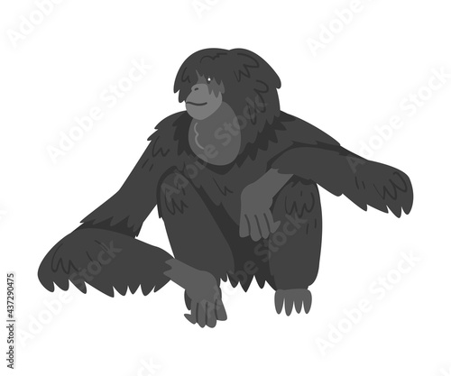 Siamang Monkey as Arboreal  Black-furred Gibbon Vector Illustration