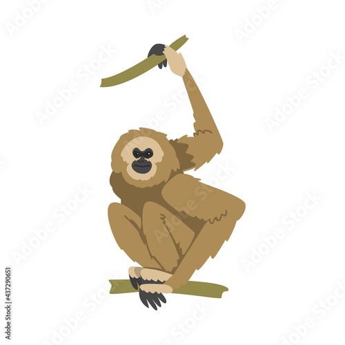Gibbon Monkey as Arboreal Herbivorous Ape Sitting on Tree Branch Vector Illustration