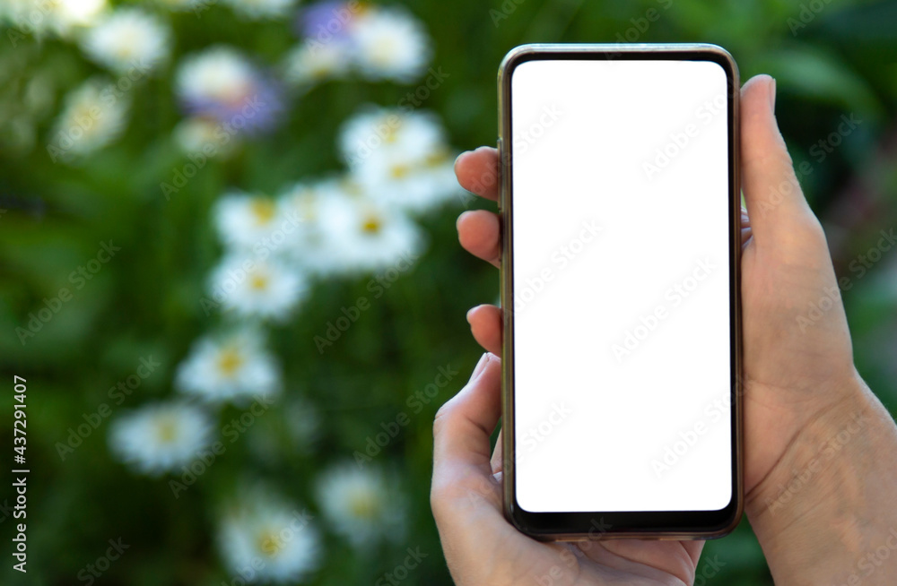 smartphone blank screen in hand with modern frameless design on nature background