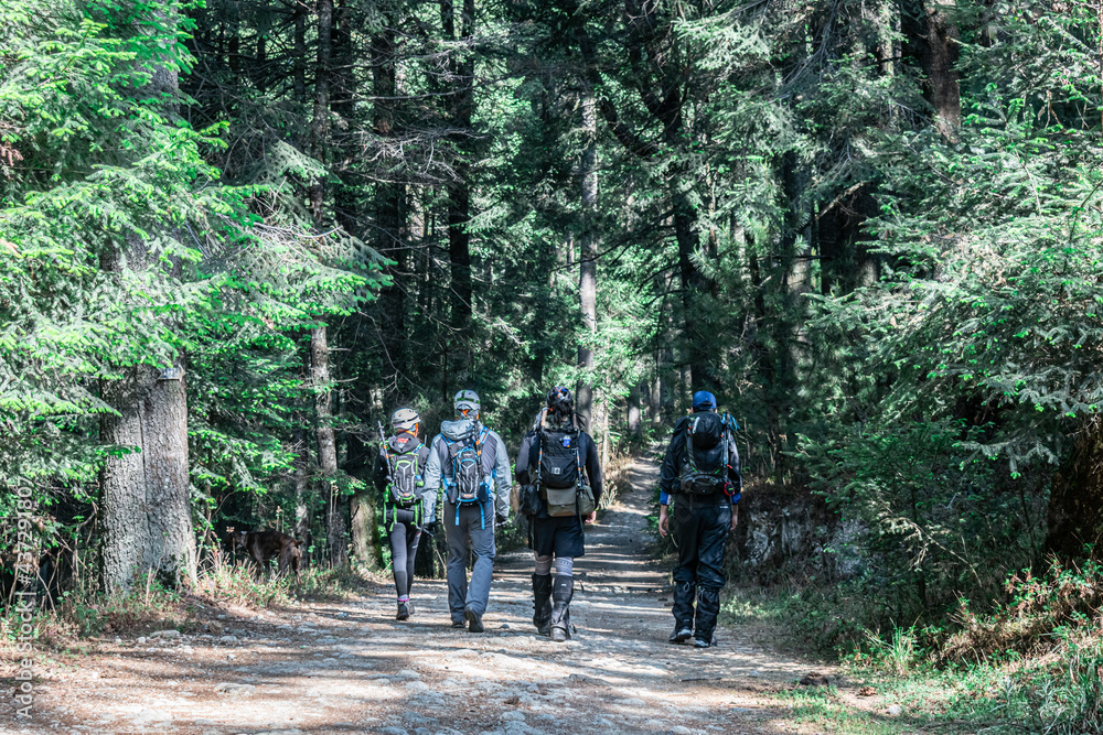 Obraz premium Amigos