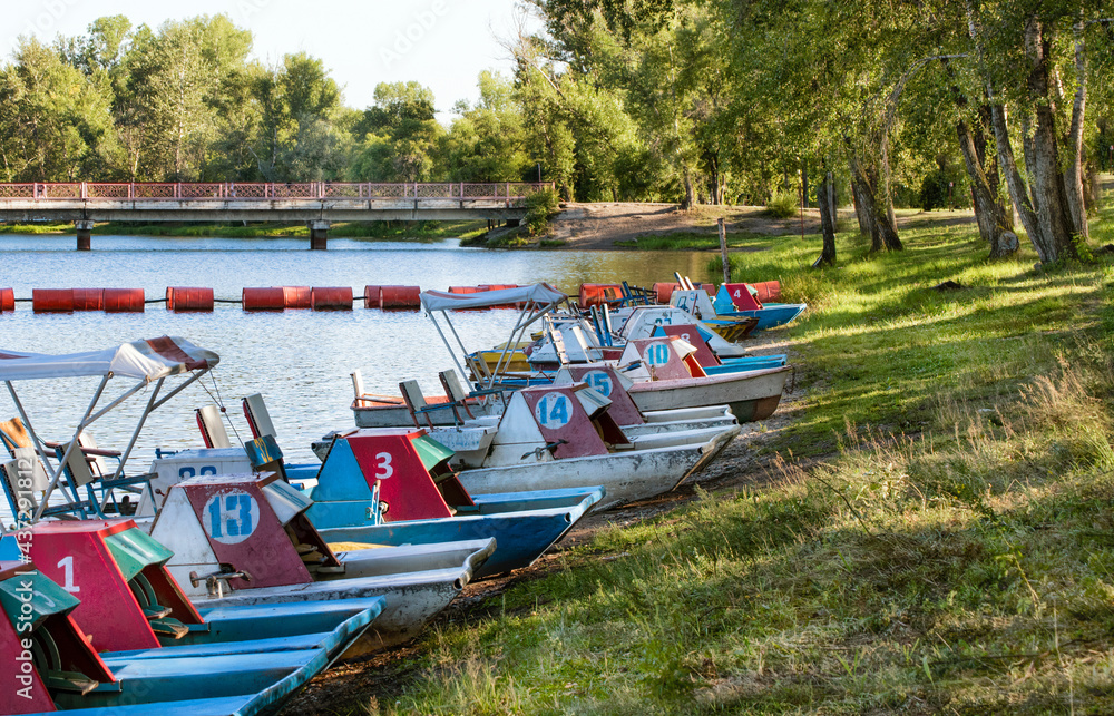 Obraz premium Catamarans on the bank of the river on summer bright day.