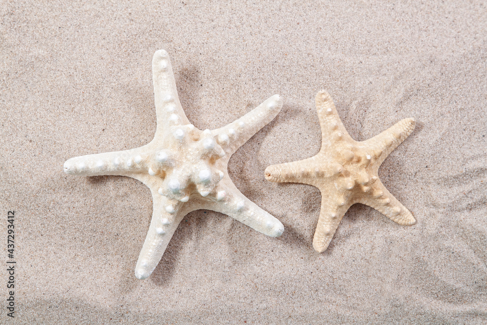two starfish on the sand close-up top view. Starfish on the beach. Beach summer background with sand, sea and copyspace two starfish on the sand close-up top view. Starfish on the beach. Beach summer background with sand, sea and copyspace
