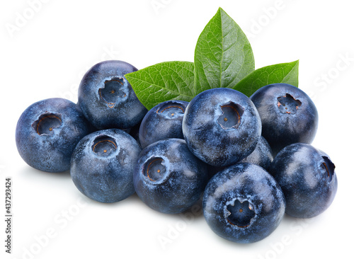 Slika na platnu Blueberry isolated on white background