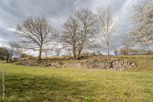 Wallpaper Mural green agricultural farmland with stone wall Torontodigital.ca