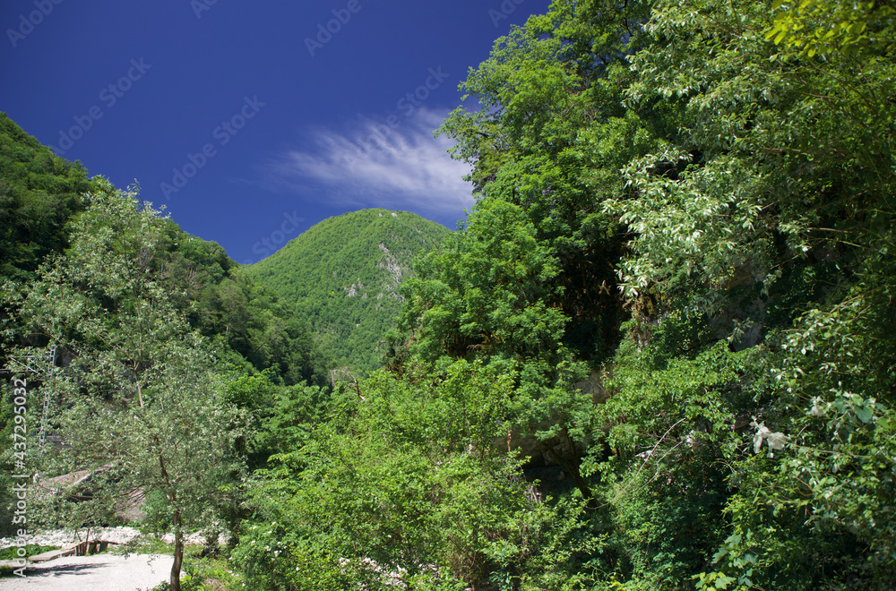 landscape with mountains, green forest and sky landscape with mountains, green forest and sky