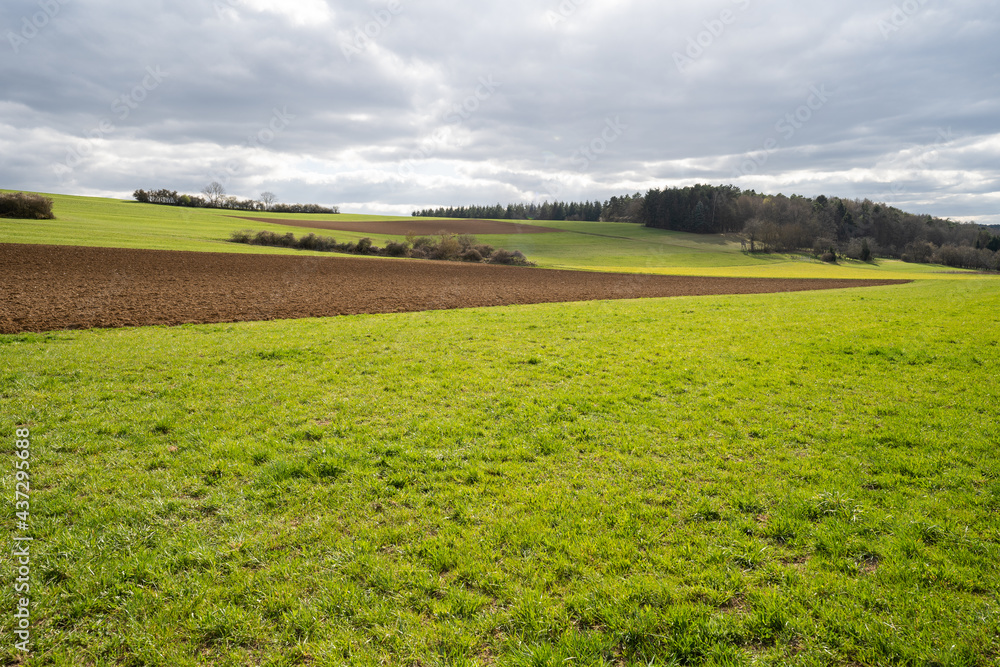 custom made wallpaper toronto digitalgreen agricultural farmland with wide field
