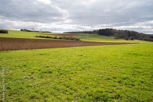 Wallpaper Mural green agricultural farmland with wide field Torontodigital.ca