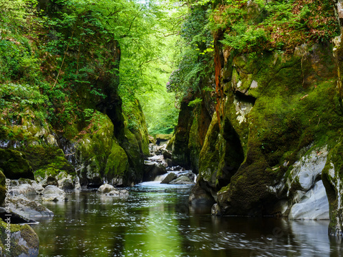 Stunning beauty spot Fairy Glen in Snowdonia National Park, Wales. River Conwy cascading in narrow gorge full of green moss covered boulders  and pink flowers above waterfall on right side cliff. photo