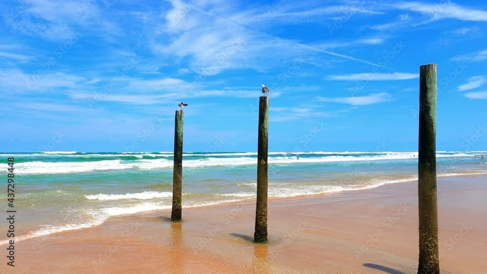 beach, vacation, ocean, Atlantic Ocean, Daytona Beach, Florida, incoming tide, surf, sand, water, blue sky, cirrus clouds, pylons, posts, three, seagulls, perched, pristine, tan, blue, turquoise, aqua beach, vacation, ocean, Atlantic Ocean, Daytona Beach, Florida, incoming tide, surf, sand, water, blue sky, cirrus clouds, pylons, posts, three, seagulls, perched, pristine, tan, blue, turquoise, aqua