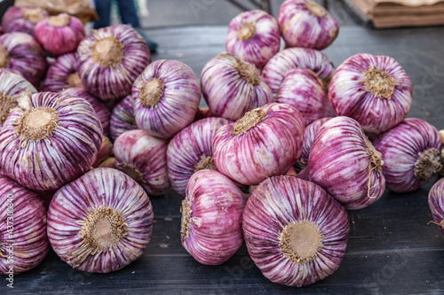 Bilde på lerret Objat (Corrèze, France) - Scène de marché - Ail violet