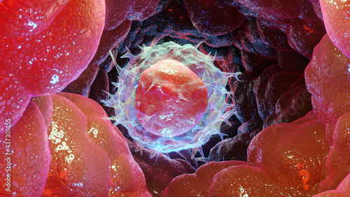 Slika na platnu 3d Illustration of Lymphocyte type Leukocyte cell, white blood cells, 3d render