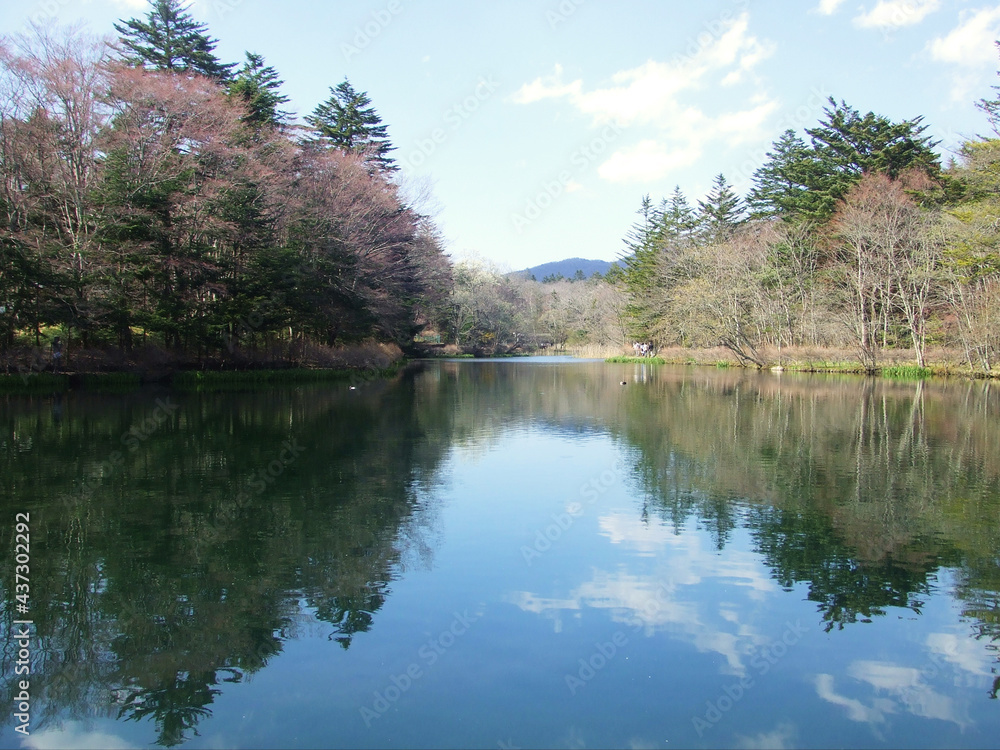 Obraz premium 日本の長野県・軽井沢の雲場池