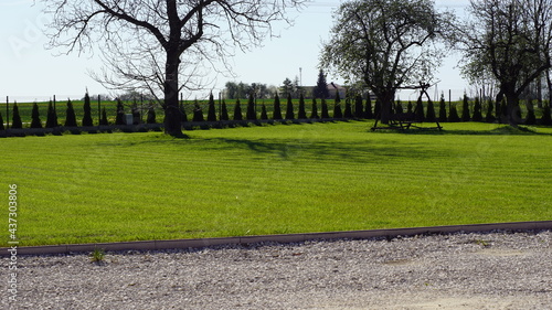 Wiosenny trawnik i krzewy wokoło domu z dala od miasta 