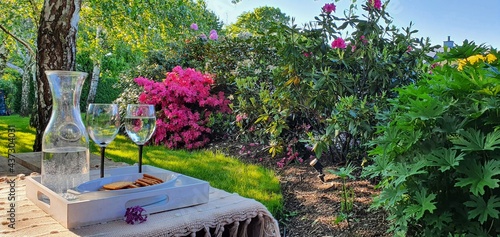 Lampka wina w wiosennym ogrodzie pe  nym kwitn  cych azali