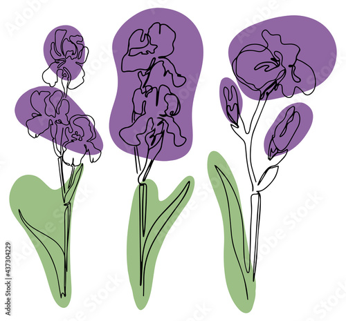 hand drawn Line art monoline flowers . Vector illustration