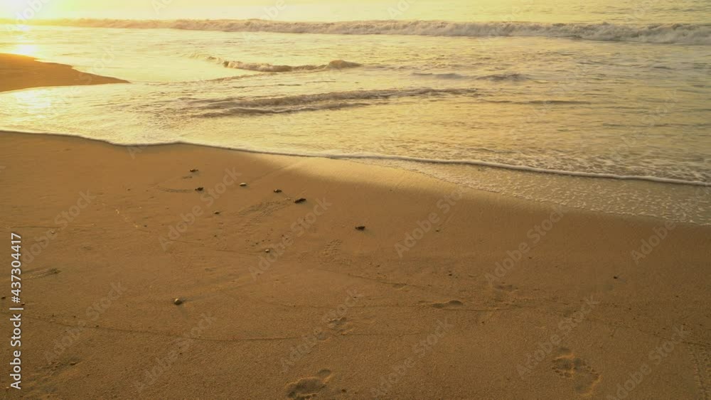 Newborn sea turtles run on the beach to the water of the Pacific Ocean. Extra Long Shot, Newborn sea turtles run on the beach to the water of the Pacific Ocean. Extra Long Shot,