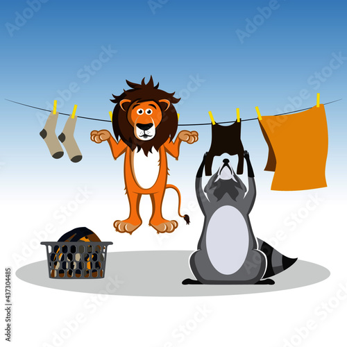 Raccoon is hanging the washing, accidentally washed the lion as well