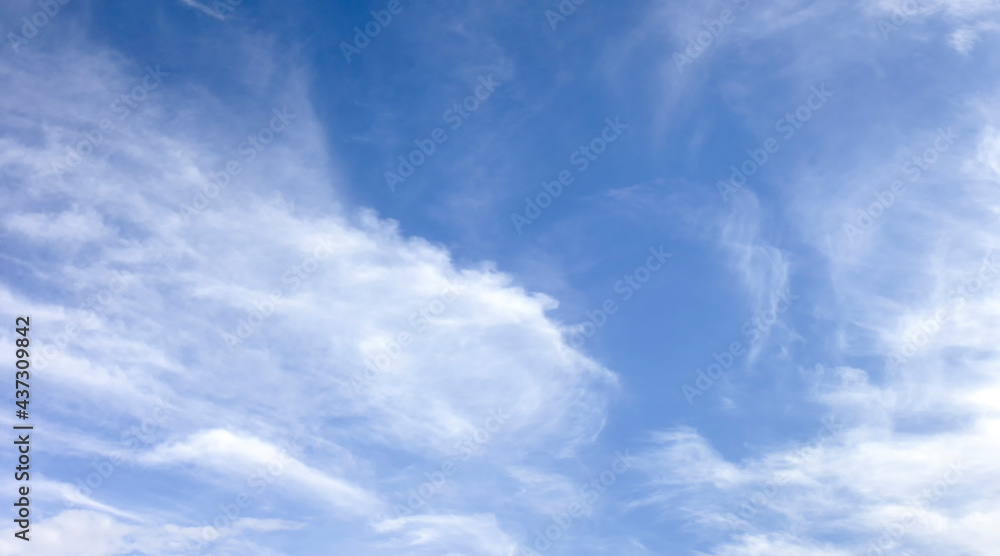Panorama of white soft blurred clouds on a background of blue sky. Light clouds on a bright sunny summer day. The wind blows small clouds across the sky.