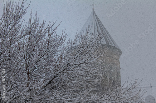 Cathedral in the snow and a tree