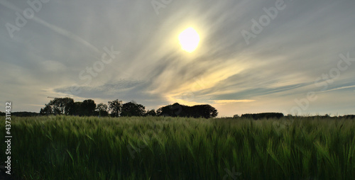 sunset over the field with beautiful clouds