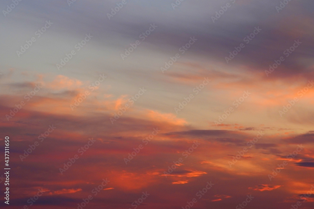 Colorful fine fluffy clouds on blue sky at sunset. Mix of bright and pastel shades of colors