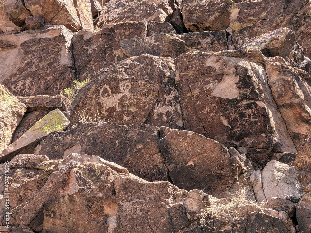 Tucson Petroglyphs