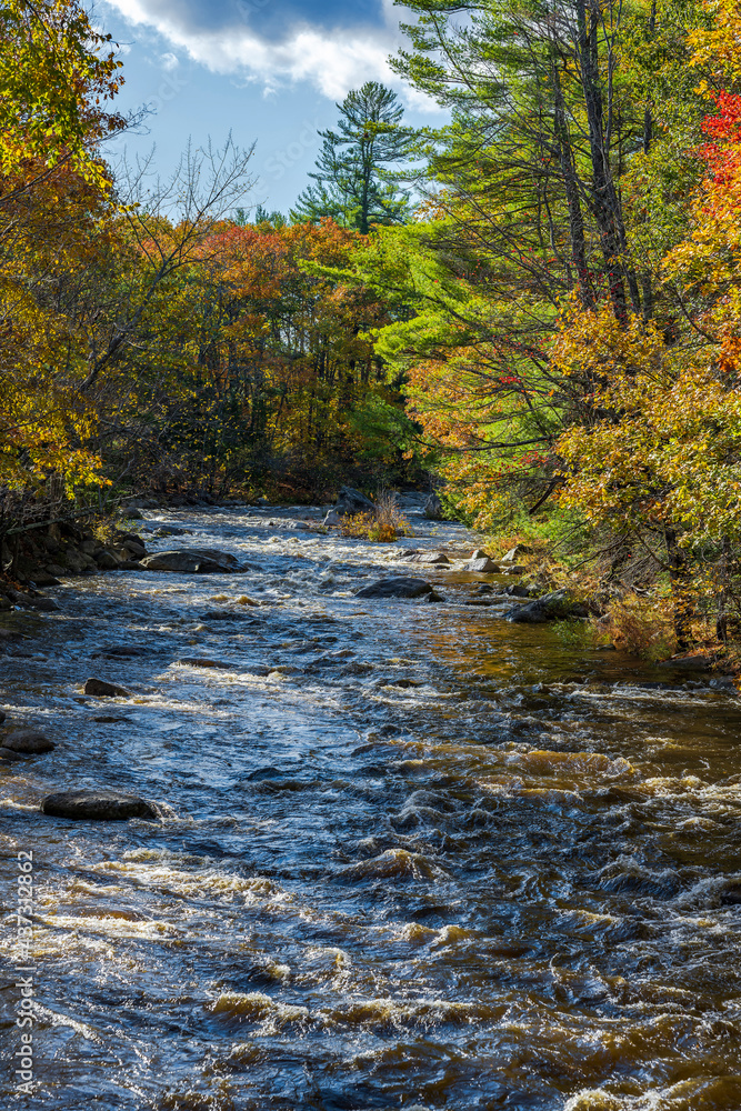 Mountain river surrounded by colorful autumn maples in sunlight in Vermont New England