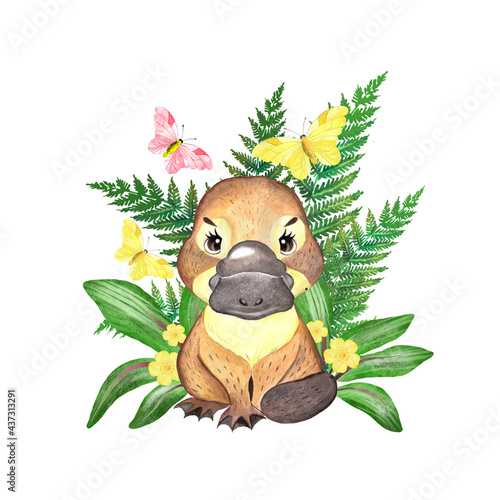 Watercolor illustration of cute platypus animal, australian baby animal 