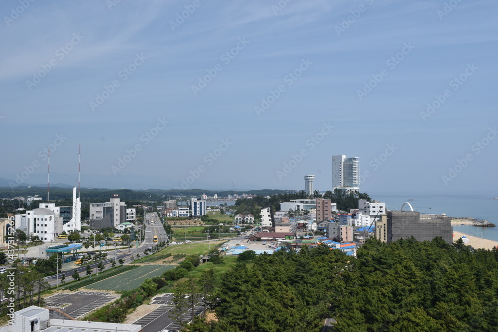 view of the city in korea