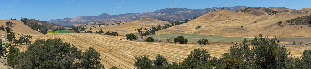 Fototapeta premium Santa Inez, CA, USA - April 3, 2009: San Lorenzo Seminary. Panorama shot over yellow dry valley with freshly harvested hay bales, other green fields, mountains and blue sky.