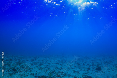 An underwater scene showing perfect blue ocean with some sunlight penetration coming through the surface