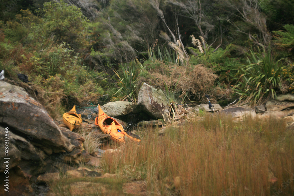 Camping Spot, Kayaking in the Able Tasman, New Zealand Camping Spot, Kayaking in the Able Tasman, New Zealand