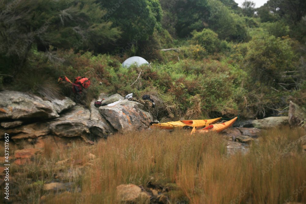 Camping Spot, Kayaking in the Able Tasman, New Zealand Camping Spot, Kayaking in the Able Tasman, New Zealand